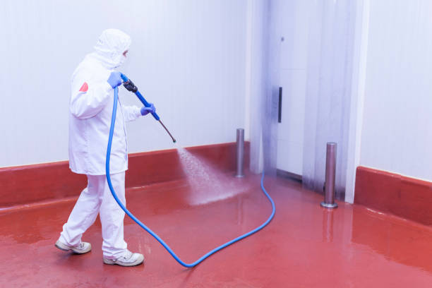 Animal Enclosure Cleaning in Velda City, MO