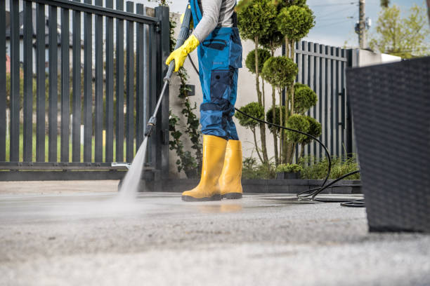 Best Gutter Cleaning  in Velda City, MO